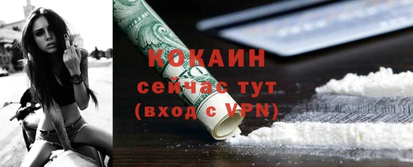 не бодяженный Бородино