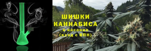 PSILOCYBIN Белокуриха