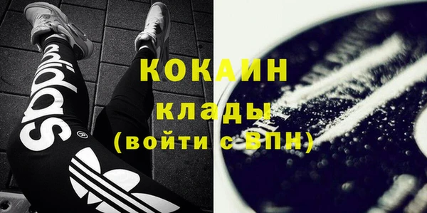 не бодяженный Бородино